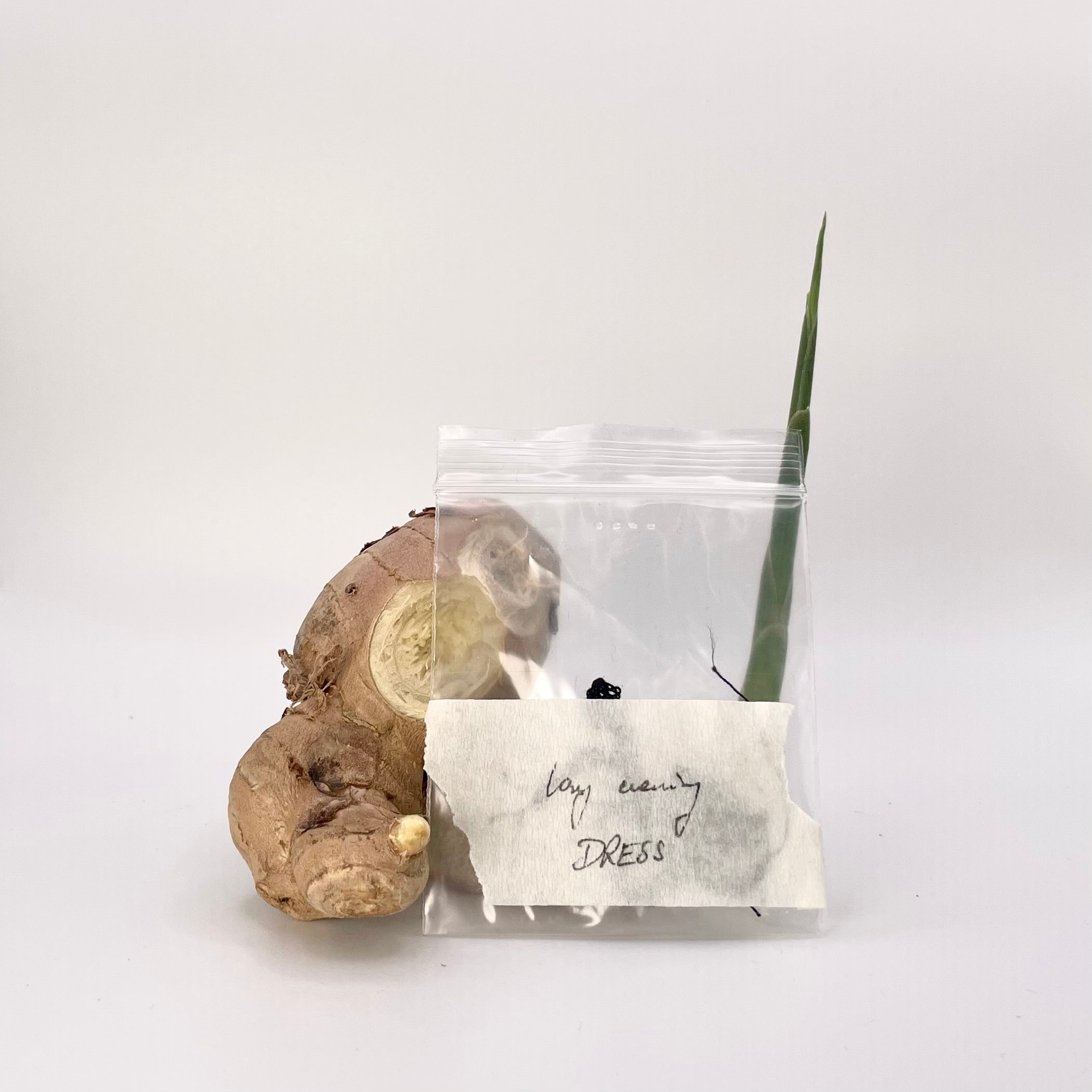 gestreiftes Kleid mit Känguru-Tasche